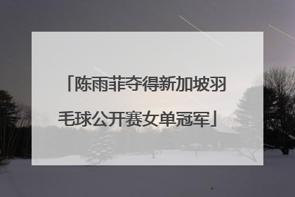 陈雨菲夺得新加坡羽毛球公开赛女单冠军