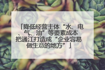 降低经营主体“水、电、气、油”等要素成本 把通江打造成“企业容易做生意的地方”