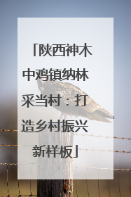 陕西神木中鸡镇纳林采当村：打造乡村振兴新样板