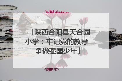 陕西合阳县天合园小学：牢记党的教导 争做强国少年