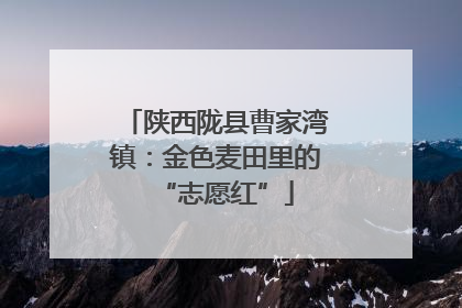 陕西陇县曹家湾镇：金色麦田里的“志愿红”