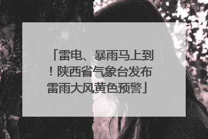 雷电、暴雨马上到！陕西省气象台发布雷雨大风黄色预警