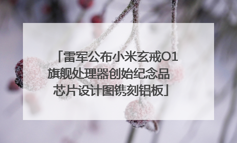 雷军公布小米玄戒O1旗舰处理器创始纪念品 芯片设计图镌刻铝板