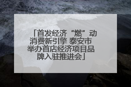 首发经济“燃”动消费新引擎 泰安市举办首店经济项目品牌入驻推进会