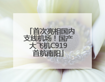 首次亮相国内支线机场！国产大飞机C919首航南阳