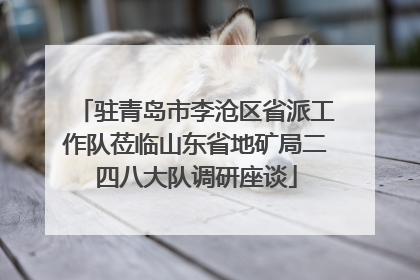 驻青岛市李沧区省派工作队莅临山东省地矿局二四八大队调研座谈