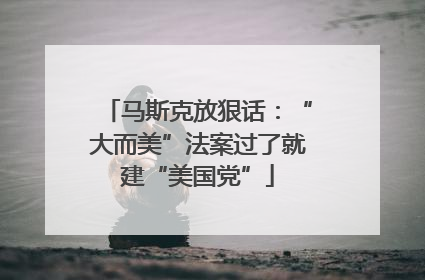 马斯克放狠话：“大而美”法案过了就建“美国党”