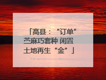 高县：“订单”苎麻巧套种 闲置土地再生“金”