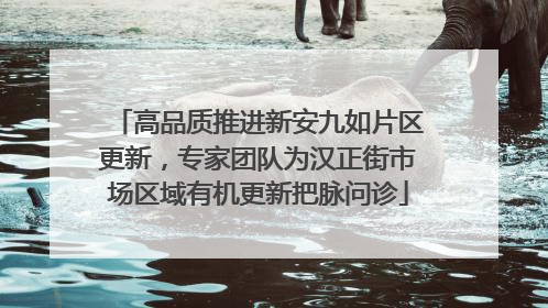 高品质推进新安九如片区更新，专家团队为汉正街市场区域有机更新把脉问诊