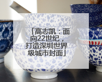 高志凯：面向22世纪，打造深圳世界级城市封面