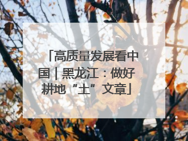 高质量发展看中国｜黑龙江：做好耕地“土”文章