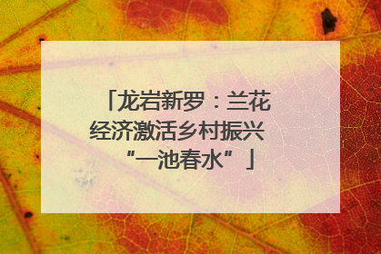 龙岩新罗：兰花经济激活乡村振兴“一池春水”