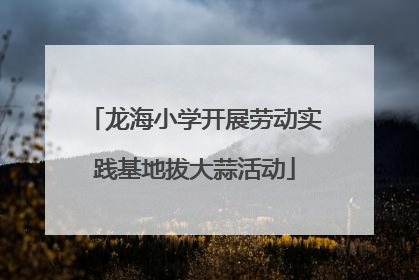 龙海小学开展劳动实践基地拔大蒜活动