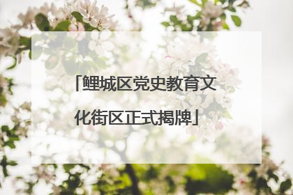鲤城区党史教育文化街区正式揭牌
