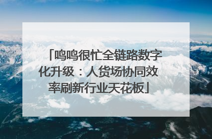 鸣鸣很忙全链路数字化升级：人货场协同效率刷新行业天花板