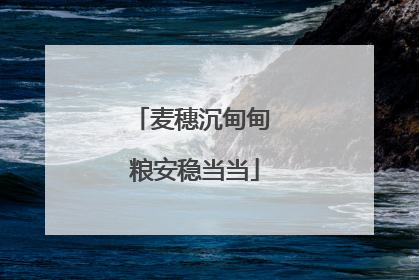 麦穗沉甸甸 粮安稳当当