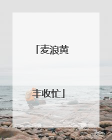 麦浪黄 丰收忙