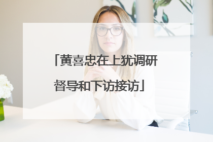 黄喜忠在上犹调研督导和下访接访