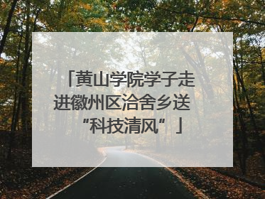 黄山学院学子走进徽州区洽舍乡送“科技清风”
