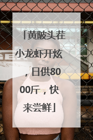 黄陂头茬小龙虾开炫，日供8000斤，快来尝鲜