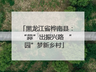 黑龙江省桦南县：“蒜”出振兴路 “园”梦新乡村
