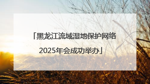 黑龙江流域湿地保护网络2025年会成功举办
