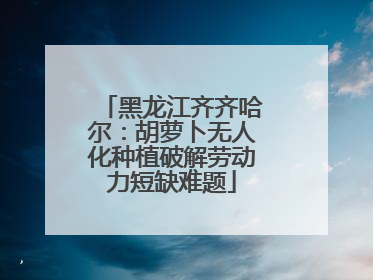 黑龙江齐齐哈尔：胡萝卜无人化种植破解劳动力短缺难题