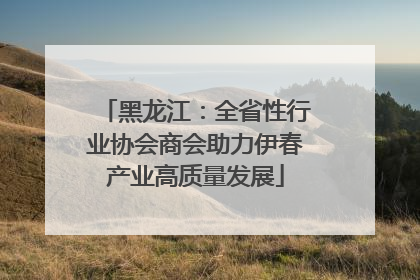 黑龙江：全省性行业协会商会助力伊春产业高质量发展