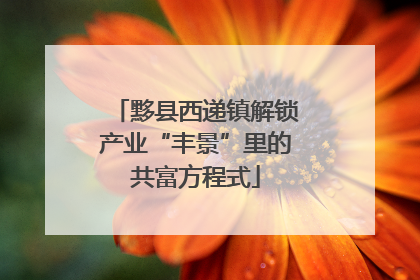 黟县西递镇解锁产业“丰景”里的共富方程式