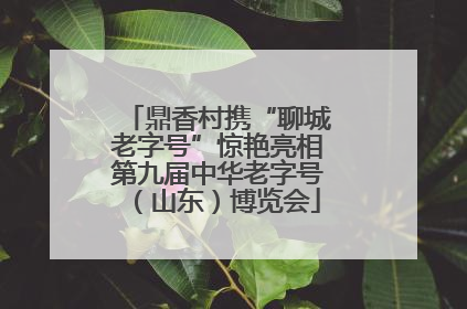 鼎香村携“聊城老字号”惊艳亮相第九届中华老字号（山东）博览会