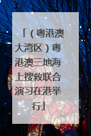 （粤港澳大湾区）粤港澳三地海上搜救联合演习在港举行