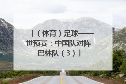 （体育）足球——世预赛：中国队对阵巴林队（3）