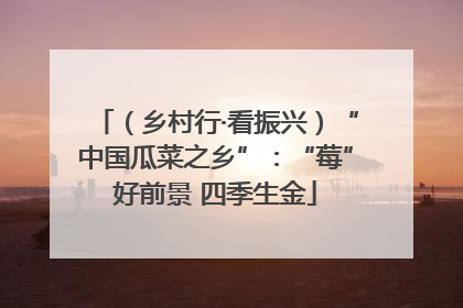 （乡村行·看振兴）“中国瓜菜之乡”：“莓”好前景 四季生金