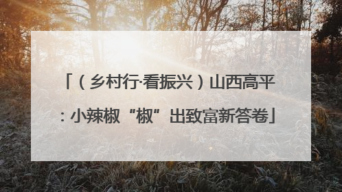 （乡村行·看振兴）山西高平：小辣椒“椒”出致富新答卷