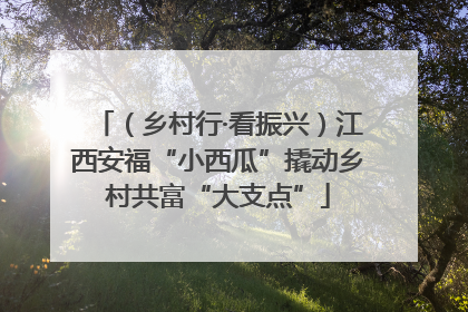 （乡村行·看振兴）江西安福“小西瓜”撬动乡村共富“大支点”