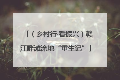 （乡村行·看振兴）赣江畔滩涂地“重生记”