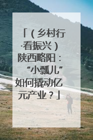 （乡村行·看振兴）陕西略阳：“小瓢儿”如何撬动亿元产业？
