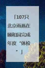 107只北京雨燕在颐和园完成年度“体检”