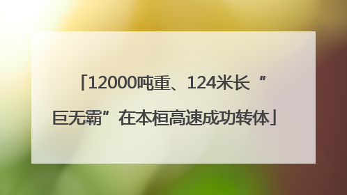 12000吨重、124米长“巨无霸”在本桓高速成功转体
