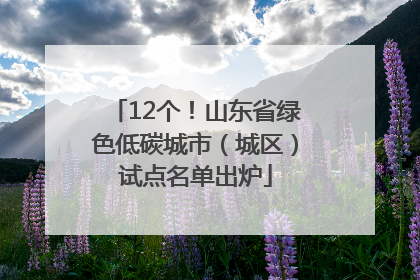 12个！山东省绿色低碳城市（城区）试点名单出炉