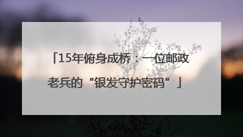 15年俯身成桥：一位邮政老兵的“银发守护密码”