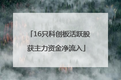 16只科创板活跃股获主力资金净流入