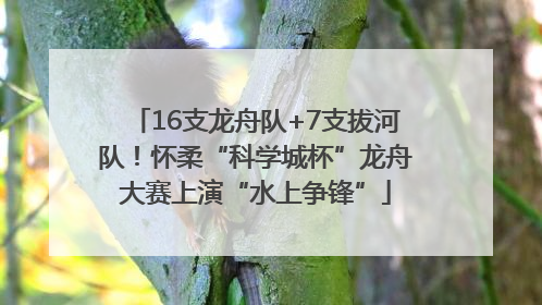16支龙舟队+7支拔河队！怀柔“科学城杯”龙舟大赛上演“水上争锋”