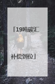 19吨碳汇补偿到位