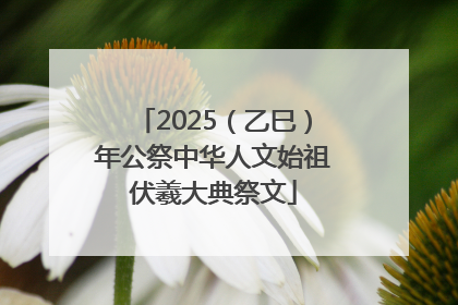2025（乙巳）年公祭中华人文始祖伏羲大典祭文