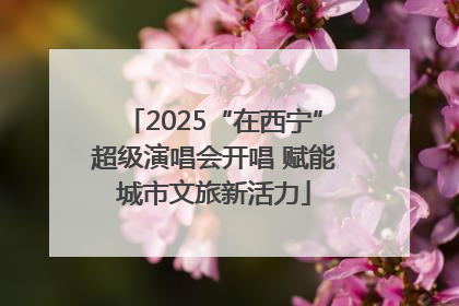 2025“在西宁”超级演唱会开唱 赋能城市文旅新活力