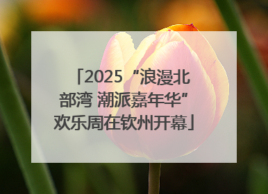 2025“浪漫北部湾 潮派嘉年华”欢乐周在钦州开幕