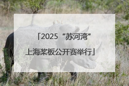 2025“苏河湾”上海桨板公开赛举行