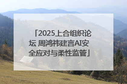 2025上合组织论坛 周鸿祎建言AI安全应对与柔性监管