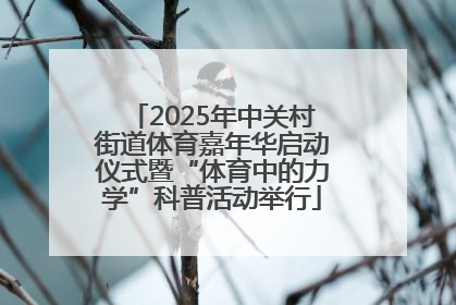 2025年中关村街道体育嘉年华启动仪式暨“体育中的力学”科普活动举行